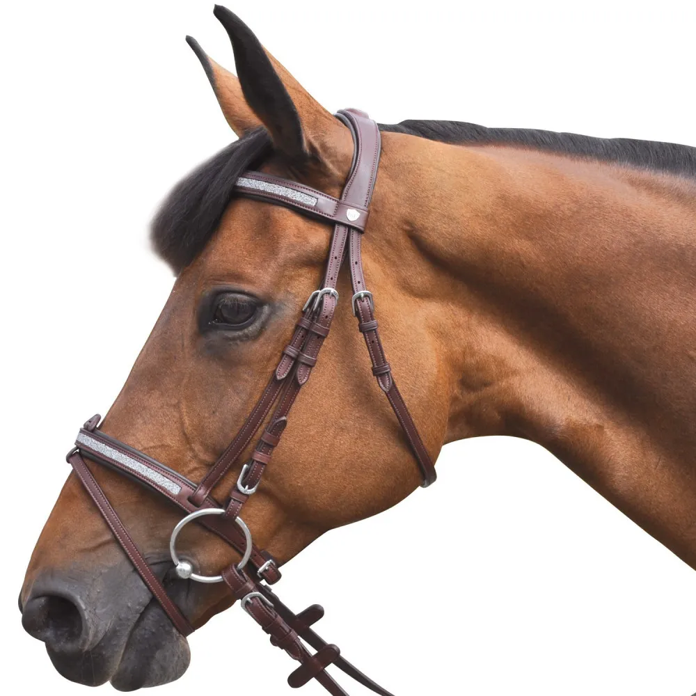 Bridon Flags & Cup Kitsi pour cheval